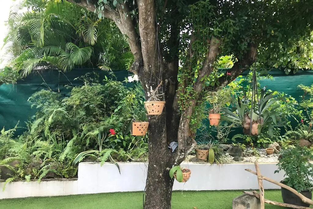 Studio Cosy Rez De Jardin A 10 Mn Des Plages Baie-Mahault Daire