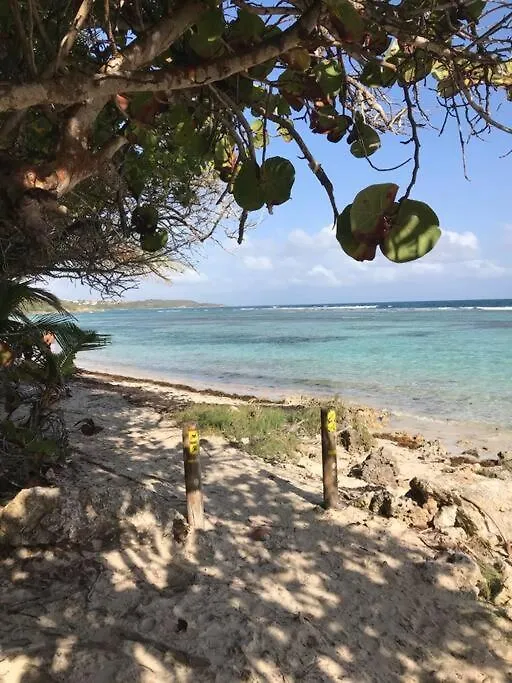 Studio Cosy Rez De Jardin A 10 Mn Des Plages Baie-Mahault Daire