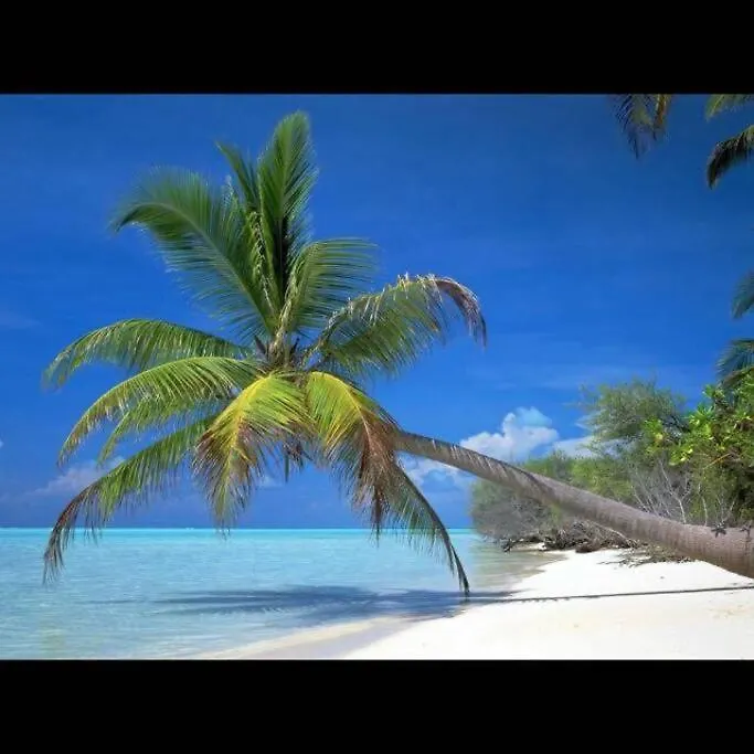 Studio Cosy Rez De Jardin A 10 Mn Des Plages Baie-Mahault 0*,  Guadeloupe