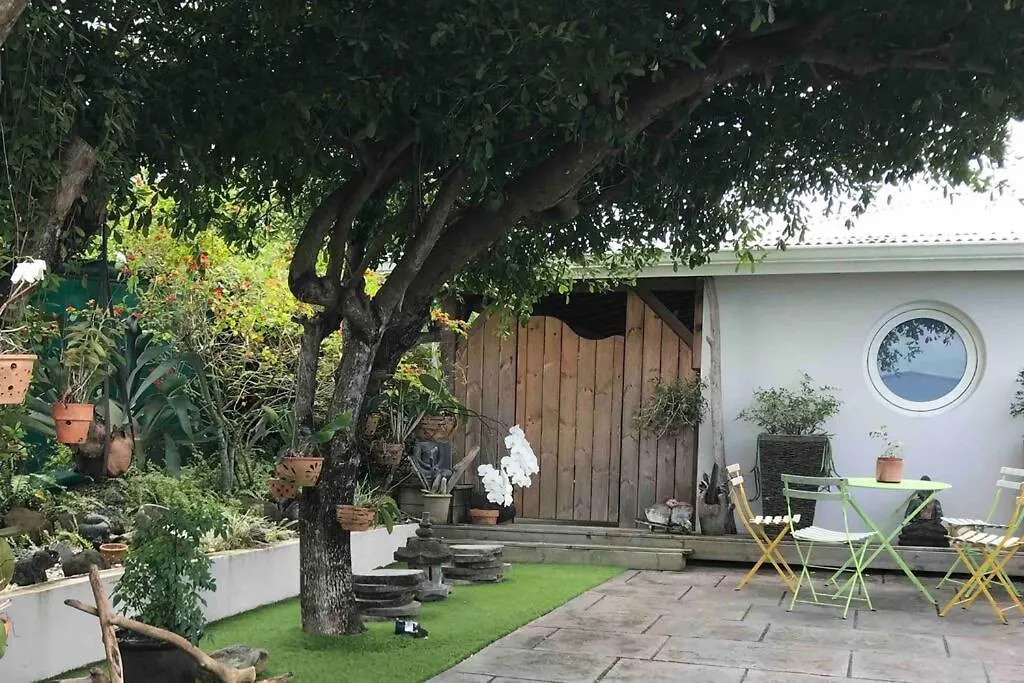 Apartment Studio Cosy Rez De Jardin A 10 Mn Des Plages Baie-Mahault Guadeloupe